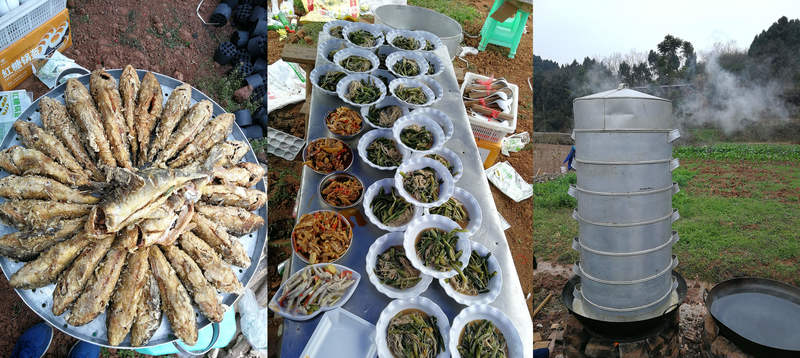 J9集团·(中国)首页